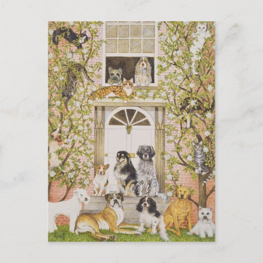 Invitation Carte Postale Country House Party (Devant)