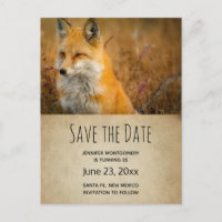 Coupe Red Fox Wilderness Nature Photo Enregistrer 