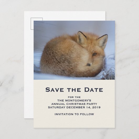 Invitation Carte Postale Couteau Renard rouge Curled Up Winter Photo Enregi (Devant / Derrière)