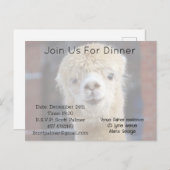 Invitation Carte Postale Cute Alpaca face (Devant / Derrière)