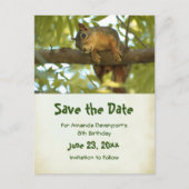 Invitation Carte Postale Cute Curious Squirrel Nature Photo - Save the Date (Devant)