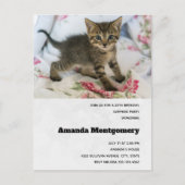 Invitation Carte Postale Cute Tabby Kitten Semblable Anniversaire Surpris (Devant)