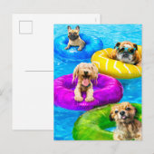 Invitation Carte Postale Dog Pool Party (Devant / Derrière)