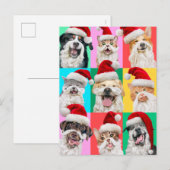 Invitation Carte Postale Dogs and Cats with Santa Beard (Devant / Derrière)
