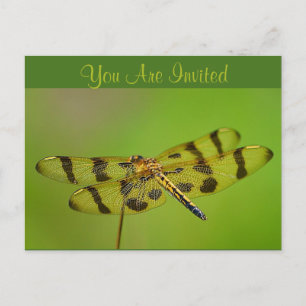 Invitation Carte Postale Dragonfly d'invitation