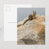 Invitation Carte Postale Écureuil (Devant / Derrière)