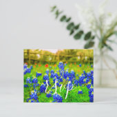 Invitation Carte Postale Elégant Bluebonnets Printemps Mariage RSVP Enclôtu (Debout devant)