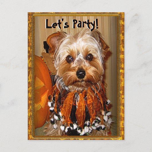 Invitation Carte Postale Faisons la fête pour Halloween Yorkie (Devant)