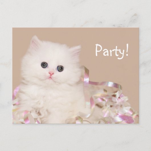 Invitation Carte Postale Fête de chaton ! (Devant)