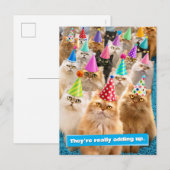 Invitation Carte Postale Fête de chats (Devant / Derrière)