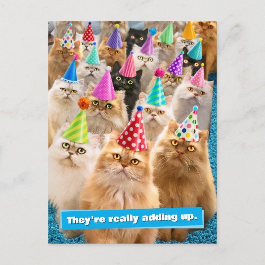 Invitation Carte Postale Fête de chats (Devant)