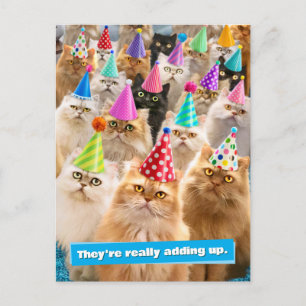 Invitation Carte Postale Fête de chats