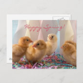 Invitation Carte Postale Fête Enfants Jaune Bébé Poulets Streamers (Devant / Derrière)