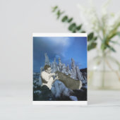 Invitation Carte Postale Floss tous les jours - (Debout devant)