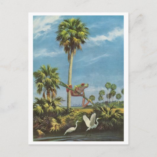 Invitation Carte Postale Froggy lookout - (Devant)