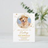 Invitation Carte Postale Gold Stars Chien Anniversaire Personnalisé Photo p (Debout devant)