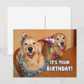 Invitation Carte Postale Golden Retriever Faisons la fête Anniversaire (Devant / Derrière)