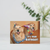 Invitation Carte Postale Golden Retriever Faisons la fête Anniversaire (Debout devant)