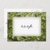 Invitation Carte Postale Green Annabelle Hydrangea Wedding RSVP (Devant / Derrière)
