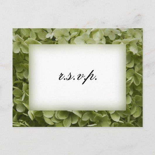 Invitation Carte Postale Green Annabelle Hydrangea Wedding RSVP (Devant)
