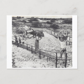 Invitation Carte Postale Gros poissons -