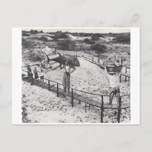 Invitation Carte Postale Gros poissons - (Devant)