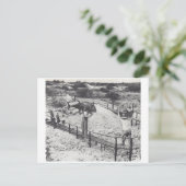 Invitation Carte Postale Gros poissons - (Debout devant)