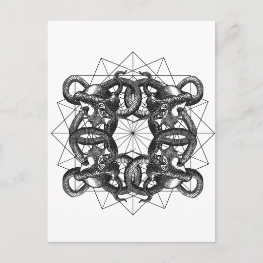 Invitation Carte Postale Hermetica Moderna - Medusa entrelacée (Devant)
