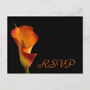 Invitation Carte Postale Insertion RSVP