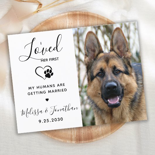 Invitation Carte Postale J'Aimais Son Premier Code QR moderne Mariage chien