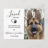 Invitation Carte Postale J'Aimais Son Premier Code QR moderne Mariage chien (Devant)