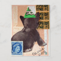 Kitten dans un Casquette de parti médias mixtes