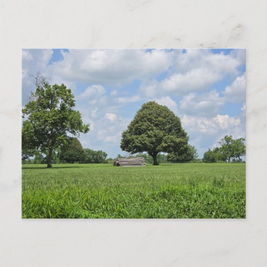 Invitation Carte Postale Lexington, Kentucky (Devant)