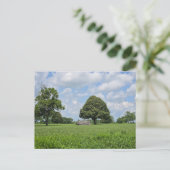 Invitation Carte Postale Lexington, Kentucky (Debout devant)