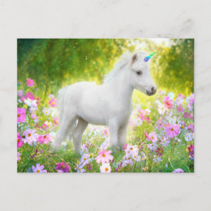 Invitation Carte Postale Licorne Poney Blanc