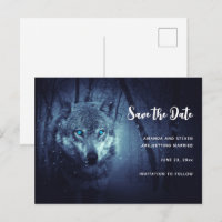 Loup sauvage aux beaux yeux bleus Sauvez la date