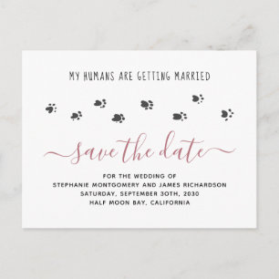 Invitation Carte Postale Mariage d'animaux de compagnie Les humains se mari