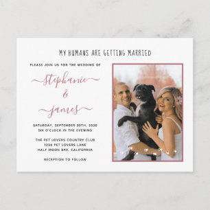 Invitation Carte Postale Mariage de mes humains Rose Gold Photo de mariage