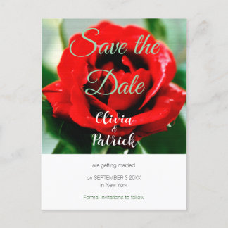 Invitation Carte Postale Mariage Rose Rouge Enregistrer la Date