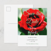 Invitation Carte Postale Mariage Rose Rouge Save the Date (Devant / Derrière)