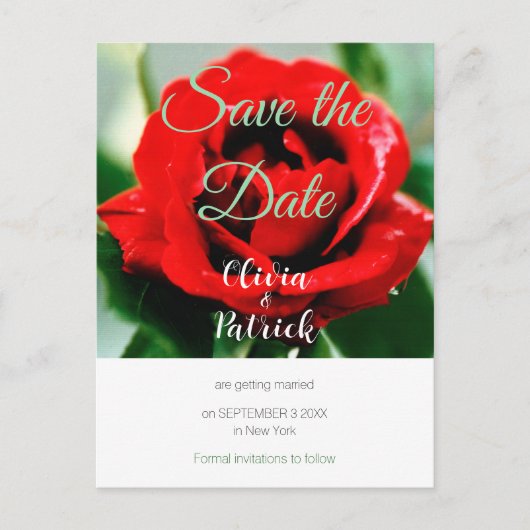 Invitation Carte Postale Mariage Rose Rouge Save the Date (Devant)