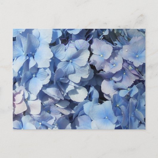 Invitation Carte Postale Mariage RSVP Blue Hydrangea (Devant)