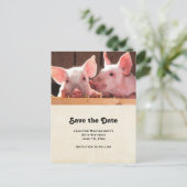 Invitation Carte Postale Mignon rose porcelet photo d'animal Enregistrer la (Debout devant)