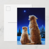 Invitation Carte Postale Miracle de Noël de chat et de chien (Devant / Derrière)