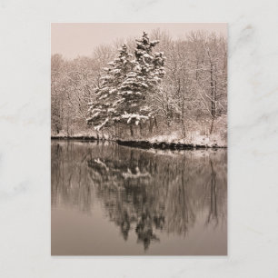 Invitation Carte Postale Neige au-dessus du lac, Wonderland hivernal - Sepi