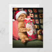 Invitation Carte Postale Nog d'oeuf de chat (Devant / Derrière)