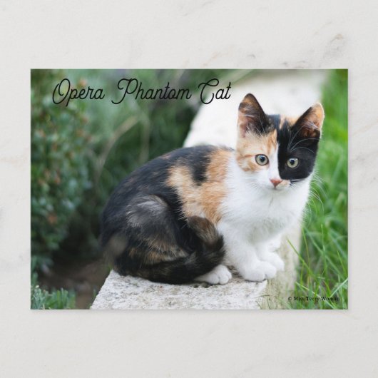 Invitation Carte Postale Opera Phantom Chat (Devant)