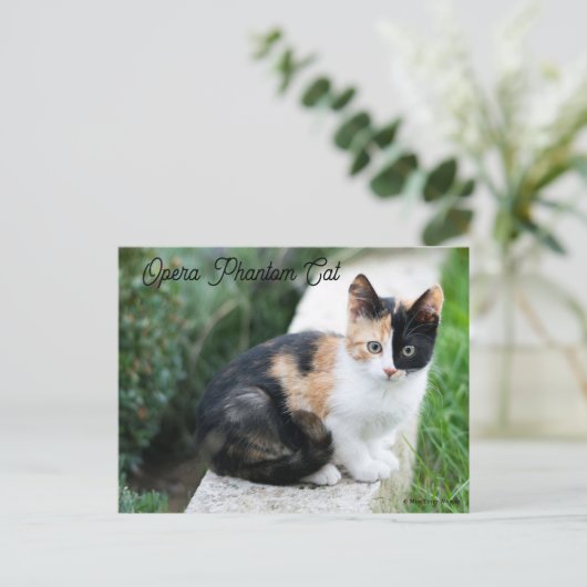 Invitation Carte Postale Opera Phantom Chat (Debout devant)