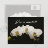 Invitation Carte Postale Orchidées blanches (Devant / Derrière)