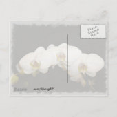 Invitation Carte Postale Orchidées blanches (Dos)